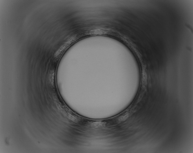 X0000103260153200809261147