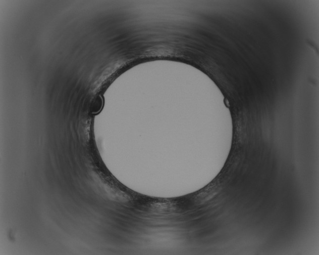 X0000103260160200809261147