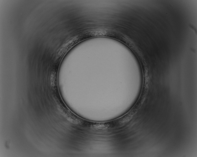 X0000103260161200809261147