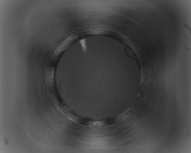 X0000103260163200809261147