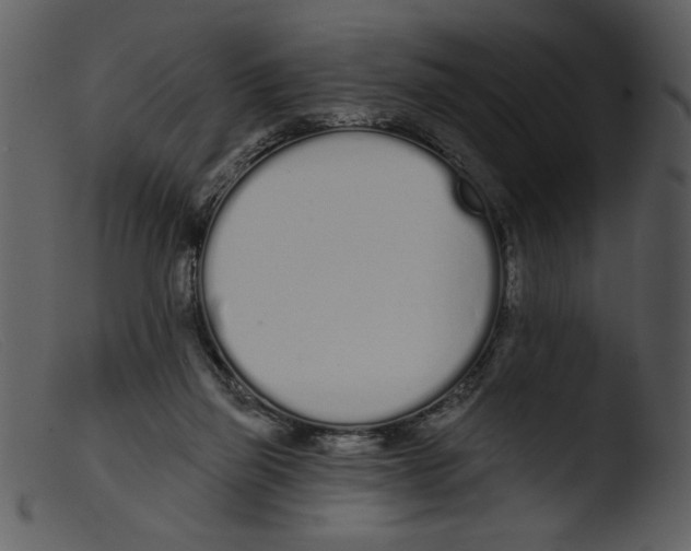 X0000103260165200809261147