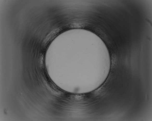 X0000103260166200809261147