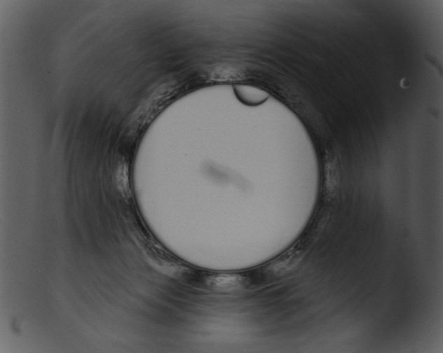 X0000103260173200809261147