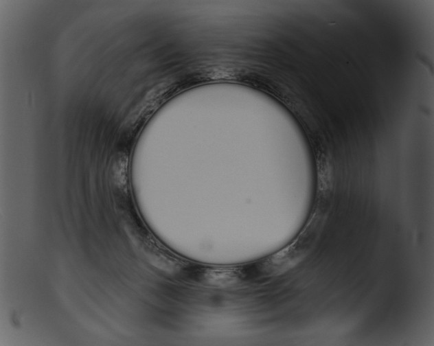 X0000103260175200809261147