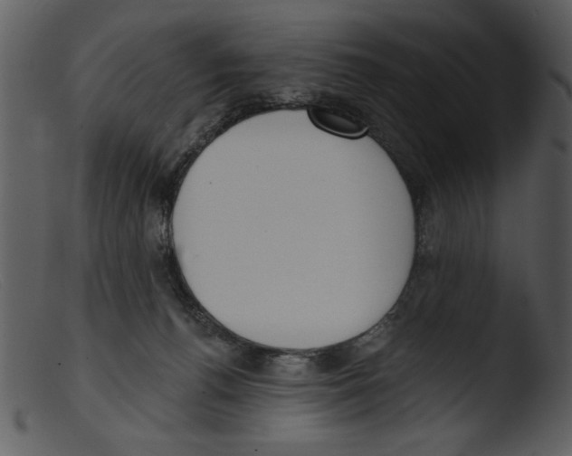 X0000103260176200809261147