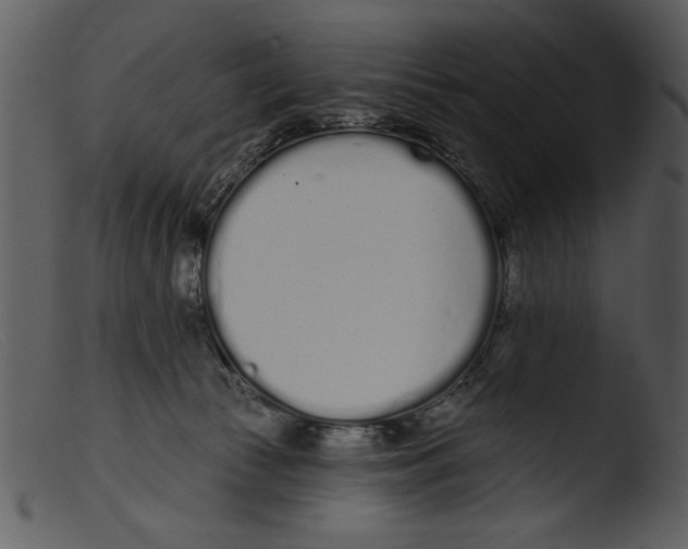 X0000103260177200809261147