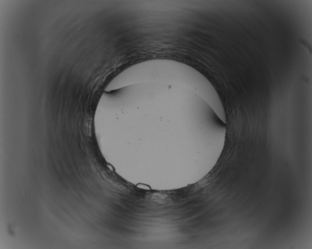 X0000103260180200809261147