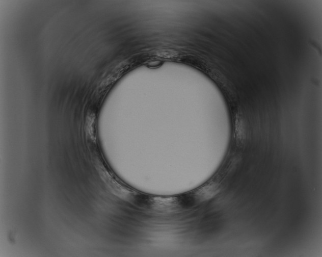 X0000103260185200809261147