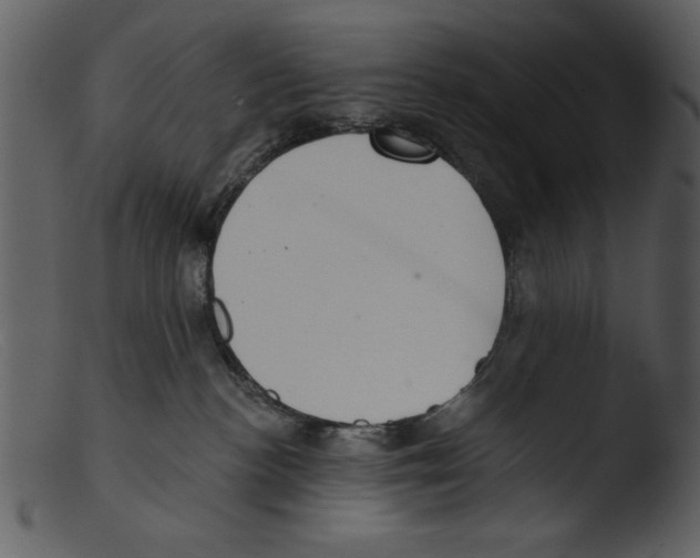 X0000103260188200809261147