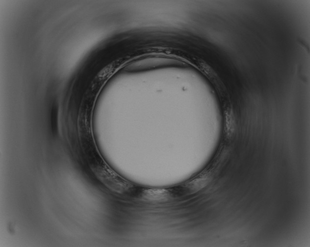 X0000103260189200809261147