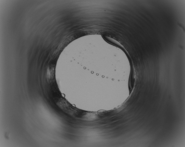 X0000103260190200809261147