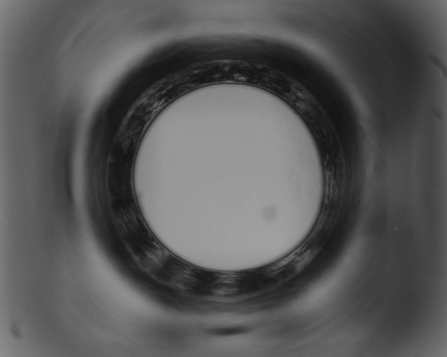 X0000103260191200809261147