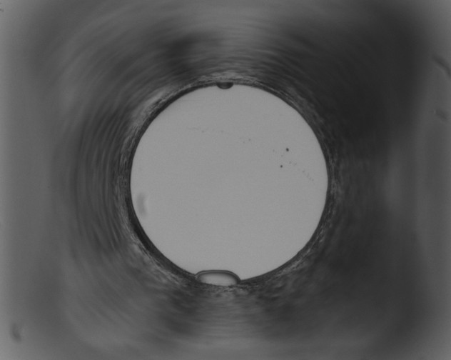 X0000103260193200809261147