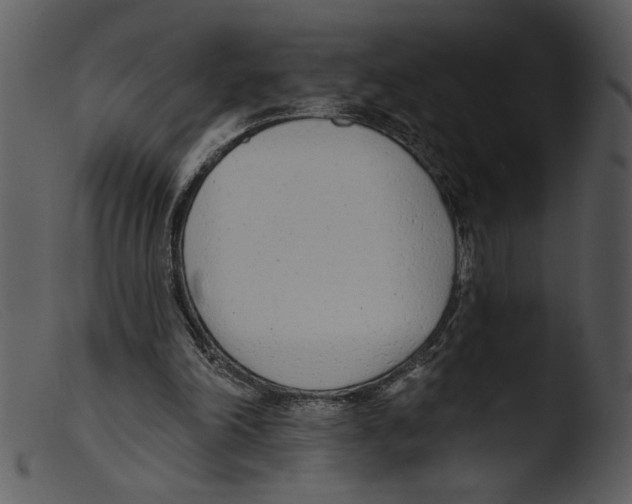 X0000103260198200809261147