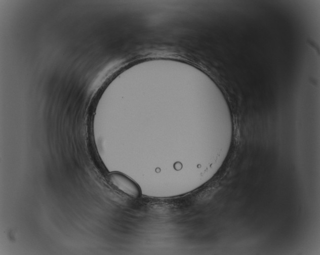 X0000103260199200809261147