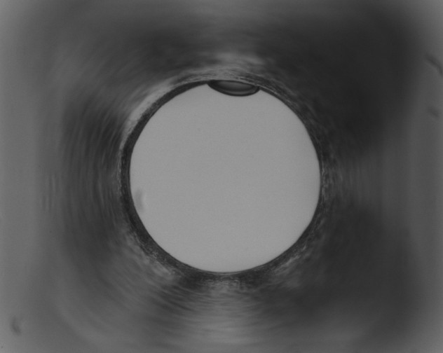 X0000103260200200809261146