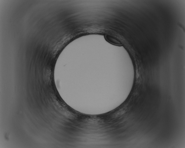 X0000103260201200809261146