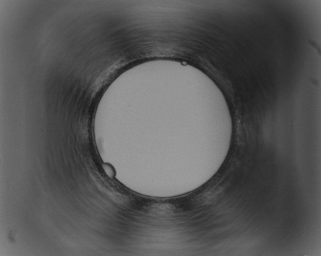 X0000103260203200809261146