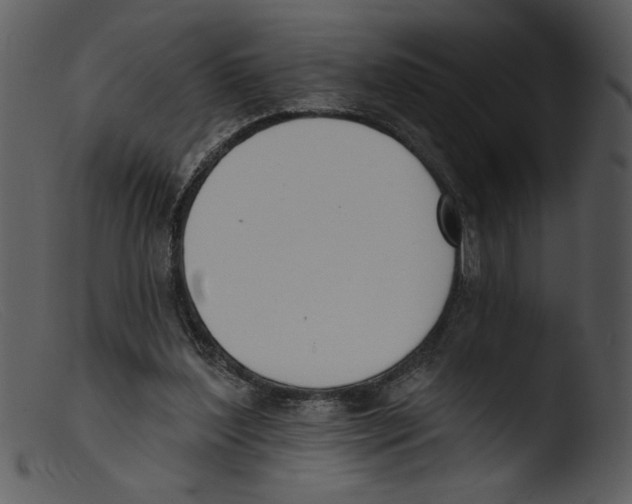 X0000103260204200809261146