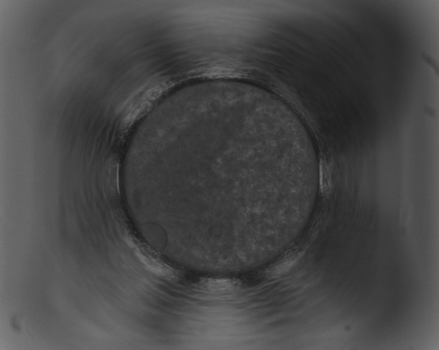 X0000103260205200809261146