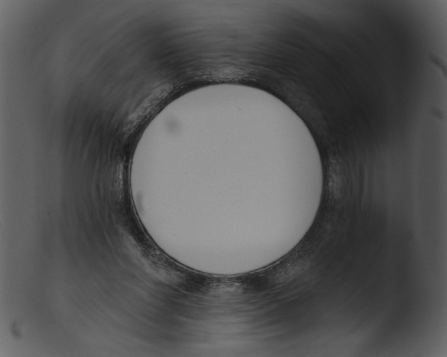 X0000103260206200809261146