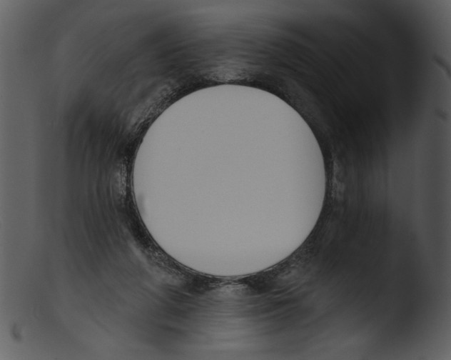 X0000103260210200809261146