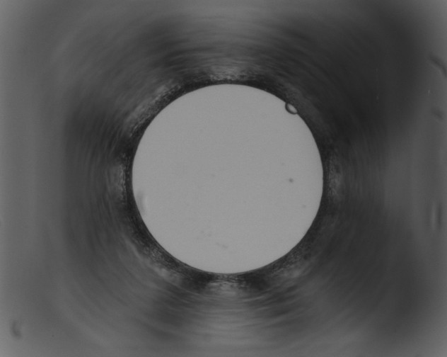 X0000103260211200809261146