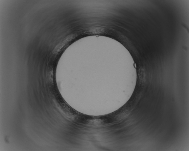 X0000103260212200809261146