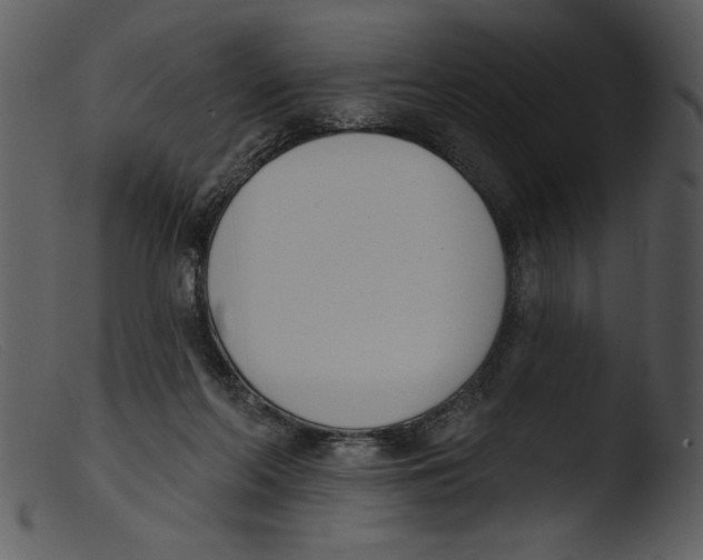 X0000103260214200809261146