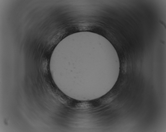 X0000103260219200809261146