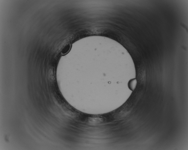 X0000103260220200809261146