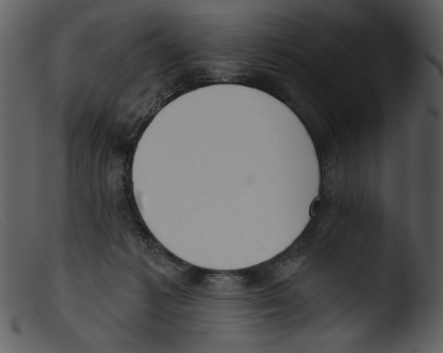 X0000103260221200809261146