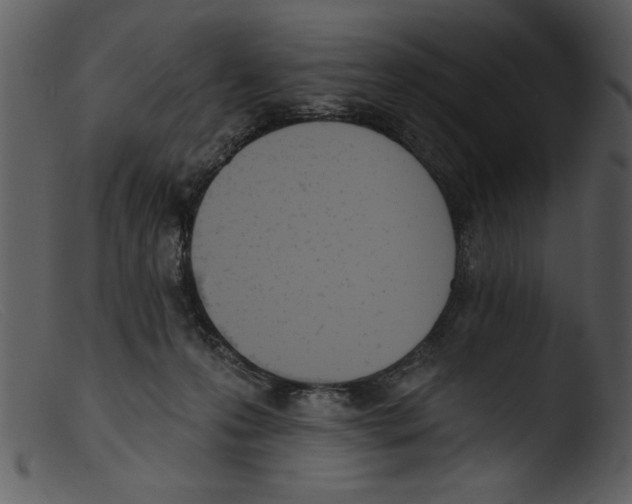 X0000103260223200809261146