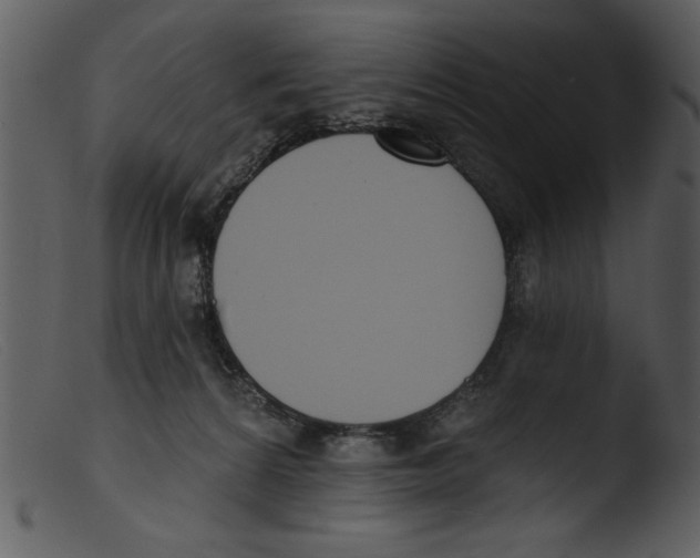 X0000103260224200809261146