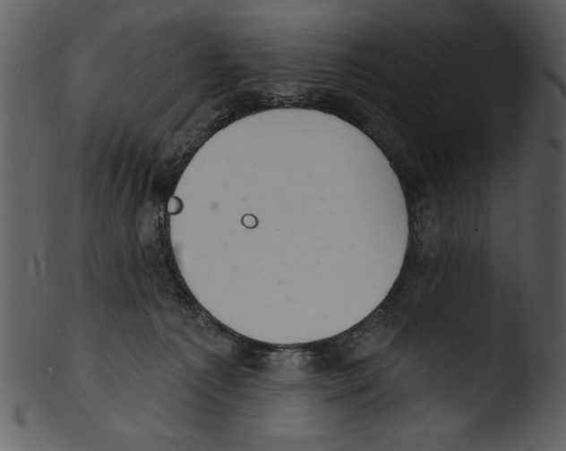 X0000103260225200809261146