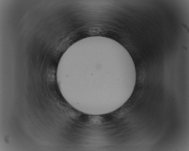 X0000103260226200809261146