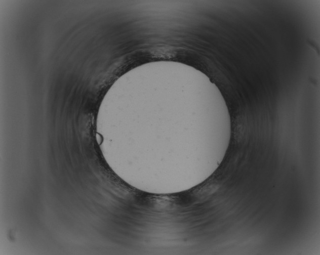 X0000103260229200809261146