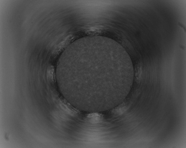 X0000103260231200809261146