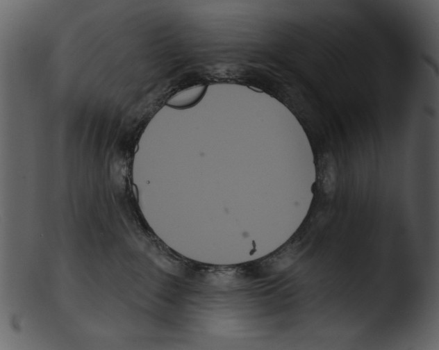 X0000103260235200809261146