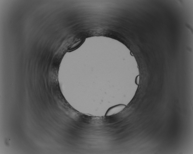 X0000103260240200809261146