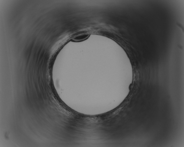 X0000103260245200809261145