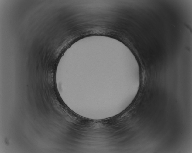 X0000103260249200809261145