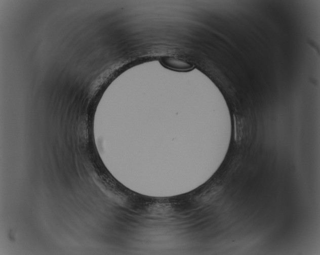 X0000103260252200809261145