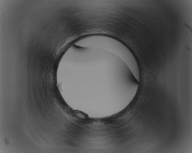 X0000103260256200809261145