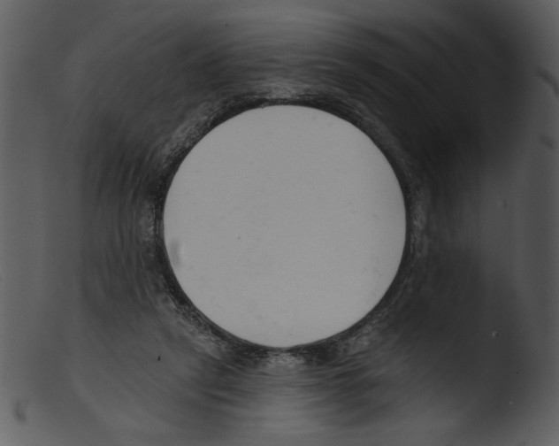 X0000103260257200809261145