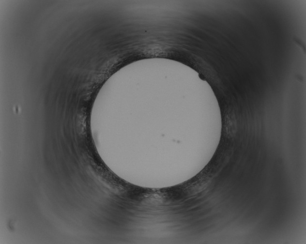 X0000103260259200809261145