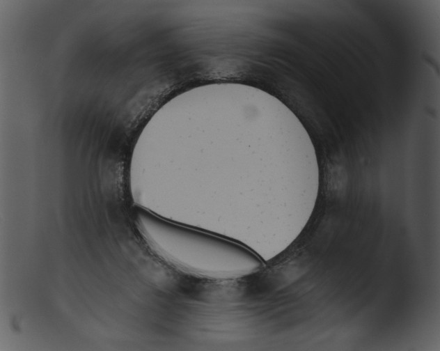 X0000103260260200809261145