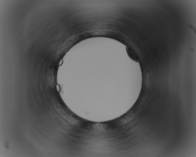 X0000103260261200809261145