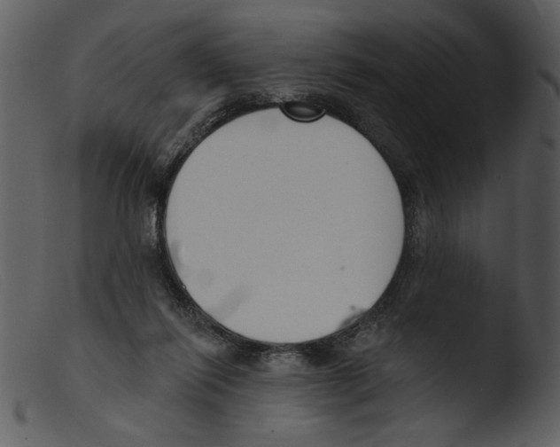 X0000103260262200809261145