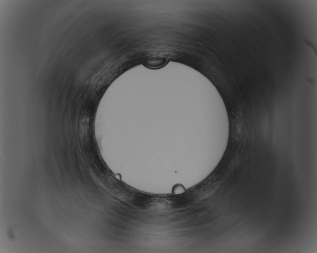 X0000103260263200809261145